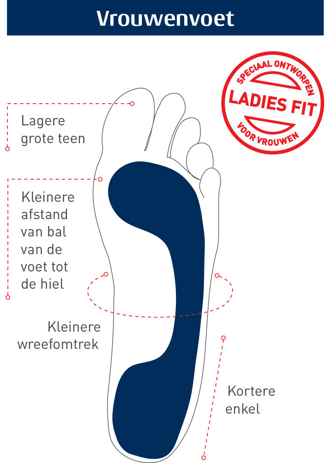 thumbnail_NL_Ladies_Foot_vs_Mens_Diagram_WEB_resized_nopadding_2000width copy