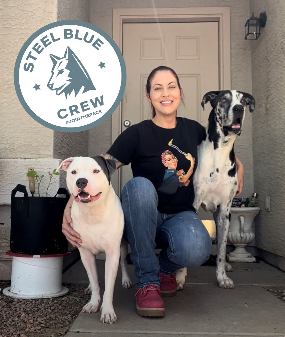 Rachel and the dogs - steel blue crew