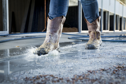 862905M_Heeler-Met water splash and sand. jpg